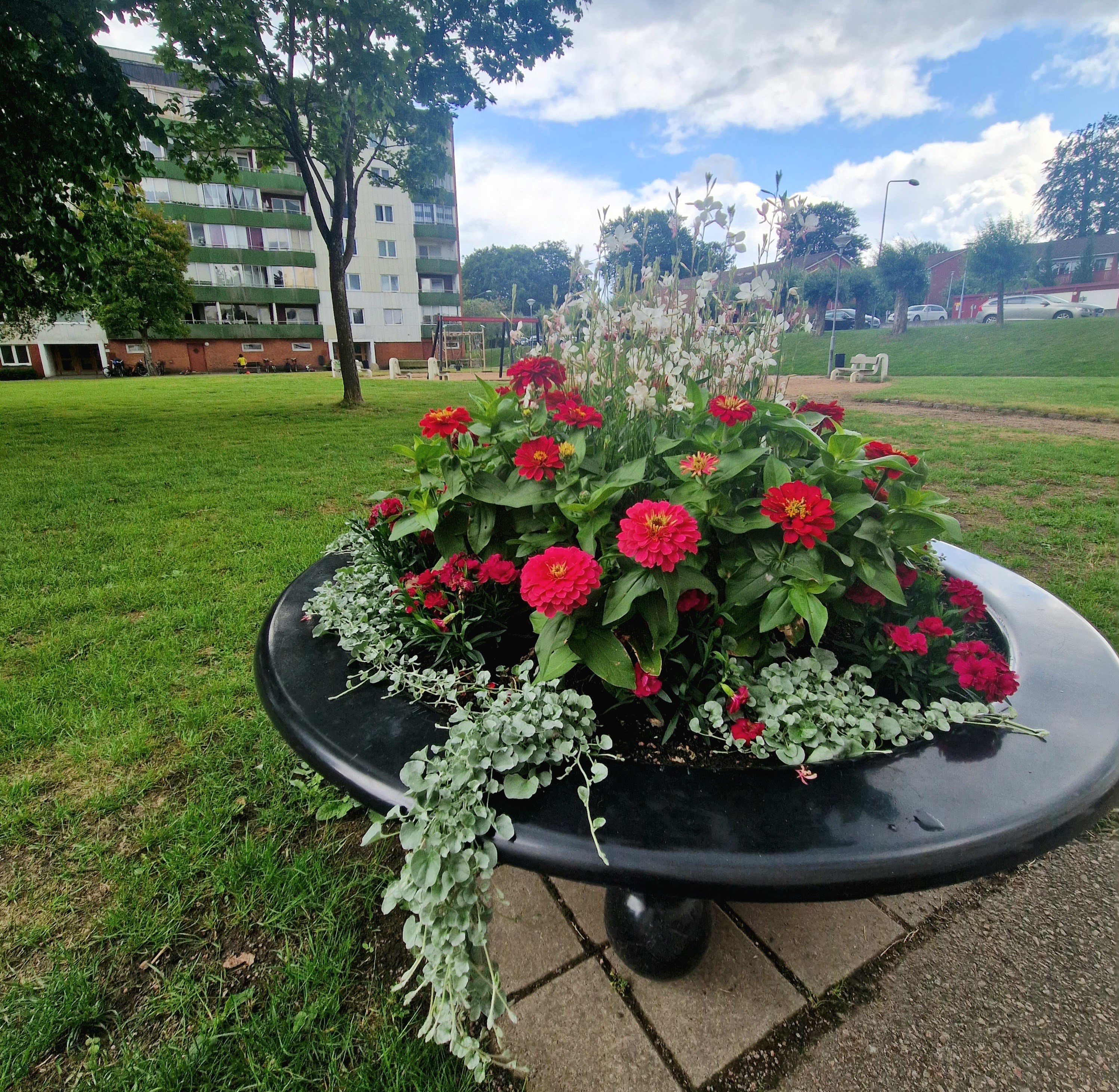 Sommarblommor